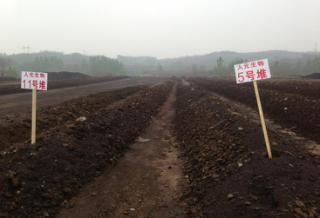 微生物肥料 綠色農業的新引擎，生物質能技術服務的市場價值